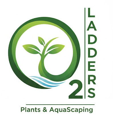 O2 Ladders - Plants & Aquascaping